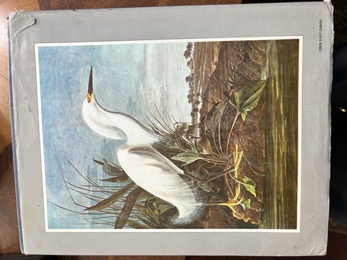 John james audubon - audubon, birds