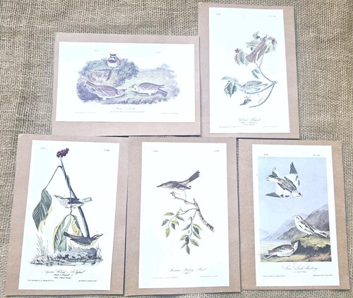 Audubon lot 5 - j, of