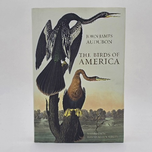 The birds of america - birds, by