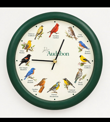 Audubon birds nature theme - audubon, &